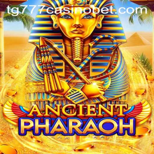 Discover the Thrilling World of 