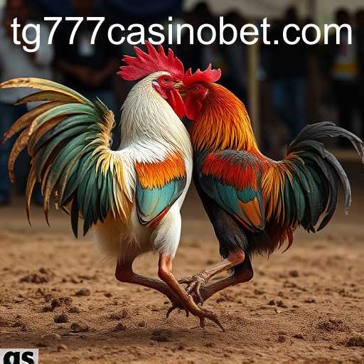 The Complex World of Cockfighting and Its Modern Implications